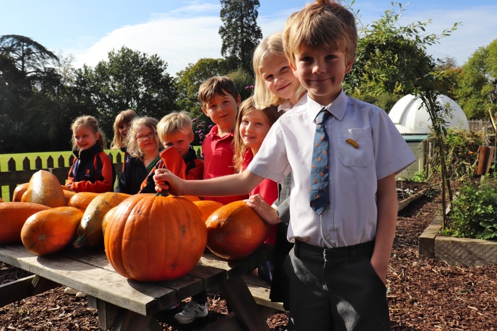 Guest Post: Marlborough House School - From Patch to Plate